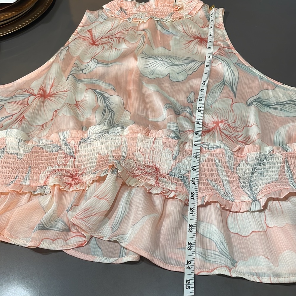 RyeGrass 3XL pink sheer peplum blouse with soft floral print and synch waist - Picture 9 of 13